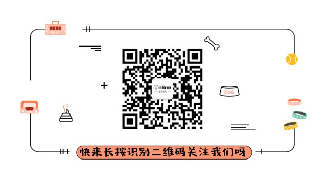 南昌626个智能公交站台电子屏帮助你全城寻找爱犬