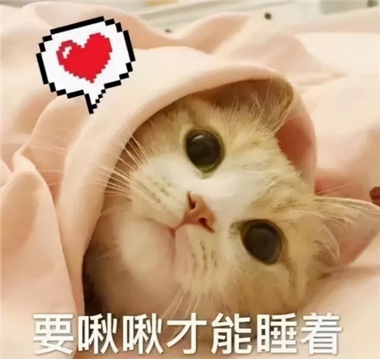 猫咪偷偷“暗恋你”的表现，中两条以上，可以偷笑了